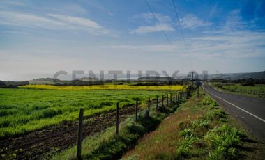 VENTA PARCELA PICHILEMU CAHUIL 3 CABAÑAS