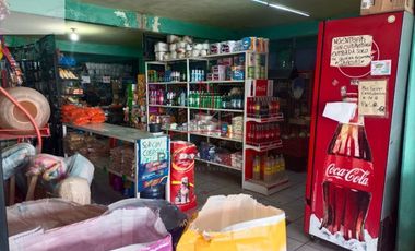 Local Comercial Venta Santa Cruz San Juan Del Rio 3,500,000 Lucbec R133