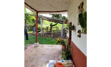 VENTA  DE FINCA  EN JAGUAL CORINTO ID 523