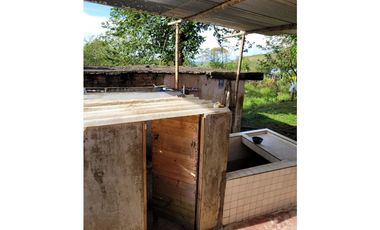VENTA  DE FINCA  EN JAGUAL CORINTO ID 523