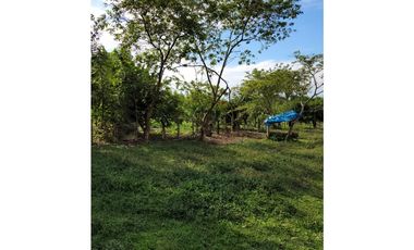 VENTA  DE FINCA  EN JAGUAL CORINTO ID 523