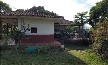 VENTA  DE FINCA  EN JAGUAL CORINTO ID 523