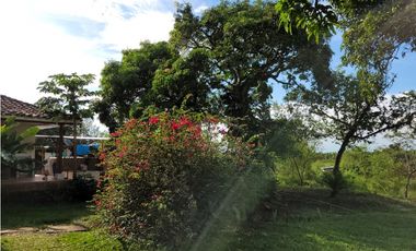 VENTA  DE FINCA  EN JAGUAL CORINTO ID 523