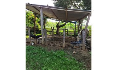 VENTA  DE FINCA  EN JAGUAL CORINTO ID 523