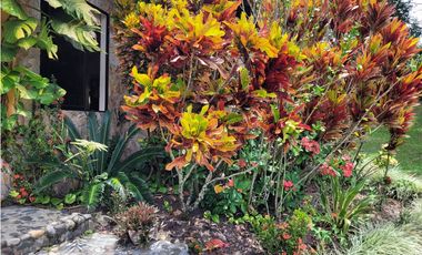 Finca Venecia (Suroeste Antioqueño)