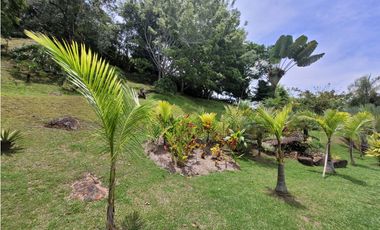 Finca Venecia (Suroeste Antioqueño)