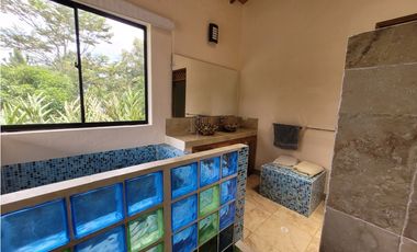 Finca Venecia (Suroeste Antioqueño)