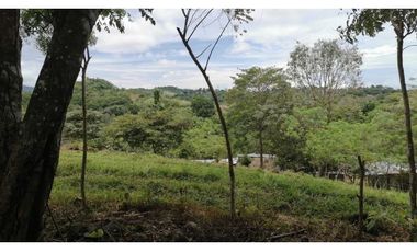 VENDO TERRENO EN ARRAIJAN VISTA ALEGRE 2.000MTS