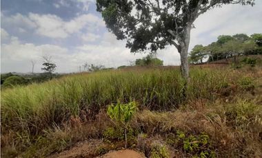 VENDO TERRENO EN ARRAIJAN VISTA ALEGRE 2.000MTS