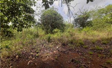 VENDO TERRENO EN ARRAIJAN VISTA ALEGRE 2.000MTS