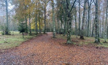 Lujosa residencia de diseño moderno-rústico en entorno natural privado