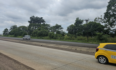 Se Vende Finca de 4.7 Hectáreas en Interamericana La Chorrera (H)