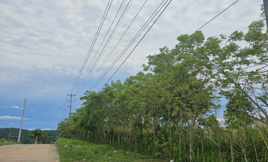 Se Vende Finca de 4.7 Hectáreas en Interamericana La Chorrera (H)