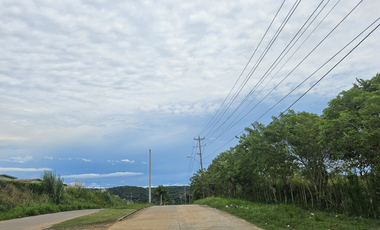 Se Vende Finca de 4.7 Hectáreas en Interamericana La Chorrera (H)
