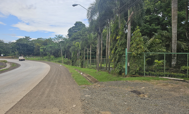 Se Vende Finca de 4.7 Hectáreas en Interamericana La Chorrera (H)