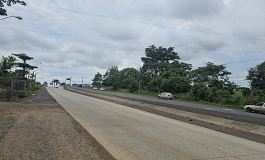 Se Vende Finca de 4.7 Hectáreas en Interamericana La Chorrera (H)