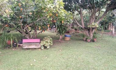 VENTA de FINCAS en GARZON