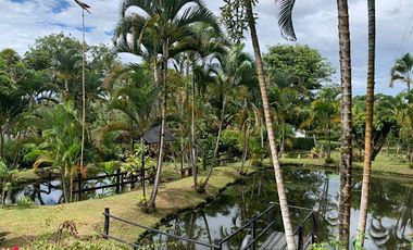 VENTA de FINCAS en GARZON