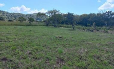 VENTA DE LOTE CAMPESTRE EN PENONOME