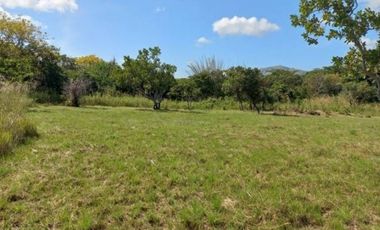 VENTA DE LOTE CAMPESTRE EN PENONOME
