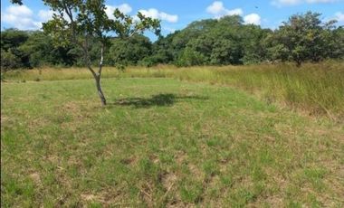 VENTA DE LOTE CAMPESTRE EN PENONOME