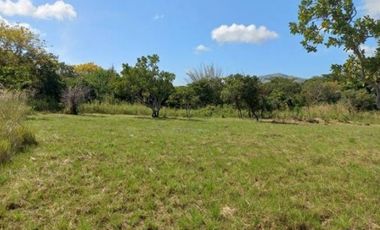 VENTA DE LOTE CAMPESTRE EN PENONOME