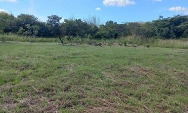 VENTA DE LOTE CAMPESTRE EN PENONOME
