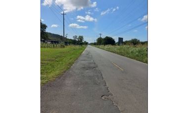 VENTA DE LOTE CAMPESTRE EN PENONOME