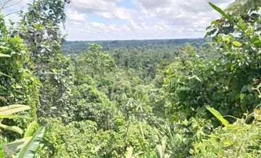 Vendo Terreno 127 Hectáreas, E-20 Vía Santo Domingo La Concordia Km 8