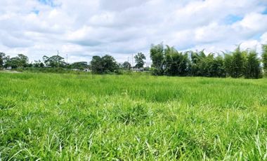 Vendo Terreno 127 Hectáreas, E-20 Vía Santo Domingo La Concordia Km 8