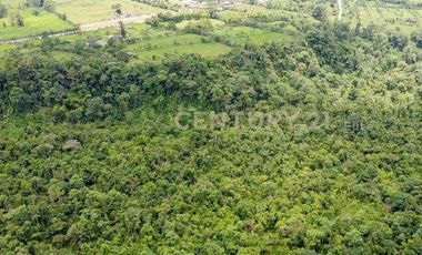 Vendo Terreno 127 Hectáreas, E-20 Vía Santo Domingo La Concordia Km 8