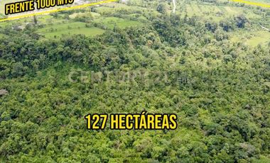 Vendo Terreno 127 Hectáreas, E-20 Vía Santo Domingo La Concordia Km 8
