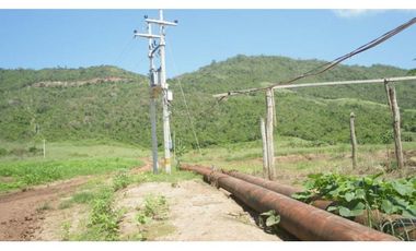 Tarapoto - Terreno 155 has. - Ingreso a Sauce