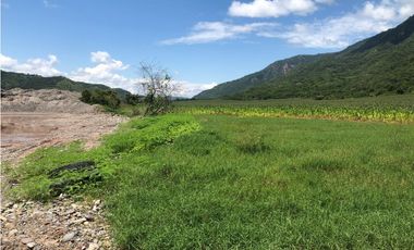 Tarapoto - Terreno 155 has. - Ingreso a Sauce