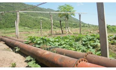 Tarapoto - Terreno 155 has. - Ingreso a Sauce