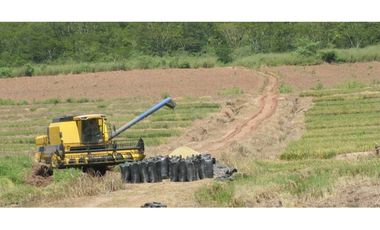 Tarapoto - Terreno 155 has. - Ingreso a Sauce