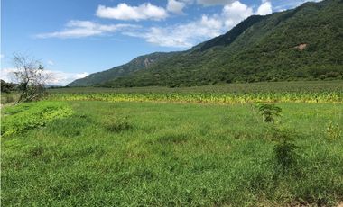 Tarapoto - Terreno 155 has. - Ingreso a Sauce