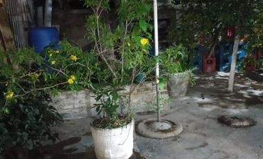 EXCELENTE PROPIEDAD CASA TRES AMBIENTES CON GARAGE JARDIN Y PATIO, DEPARTAMENTO  1 AMBIENTE CON BAÑO Y LOCAL COMERCIAL FUNCIONANDO