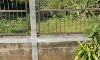 Tanah View Bandung Sukanagara Pagerwangi Lembang Bandung Barat