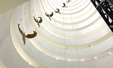 En renta o venta Consultorio nuevo en hospital Moscati Juriquilla Querétaro