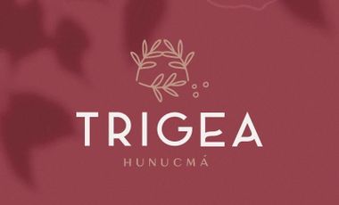 Lotes en venta TRIGEA | Hunucma |