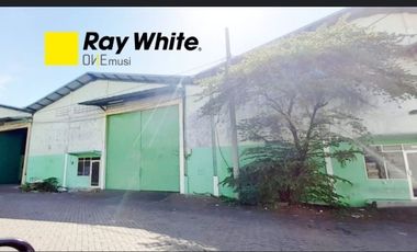 Ruko disewakan di Buduran, Buduran, Sidoarjo, Jawa Timur