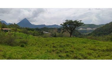 VENTA LOTE, SIRIA - SUROESTE  ANTIOQUEÑO