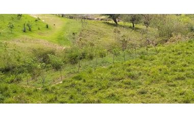 VENTA LOTE, SIRIA - SUROESTE  ANTIOQUEÑO