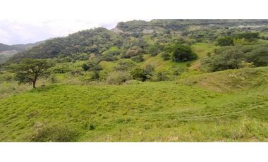 VENTA LOTE, SIRIA - SUROESTE  ANTIOQUEÑO