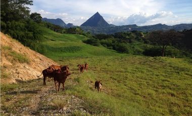 VENTA LOTE, SIRIA - SUROESTE  ANTIOQUEÑO