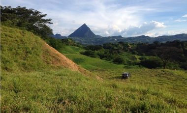 VENTA LOTE, SIRIA - SUROESTE  ANTIOQUEÑO