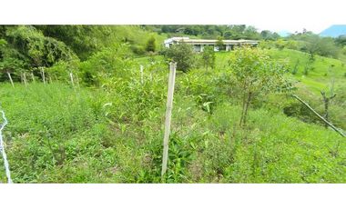 VENTA LOTE, SIRIA - SUROESTE  ANTIOQUEÑO