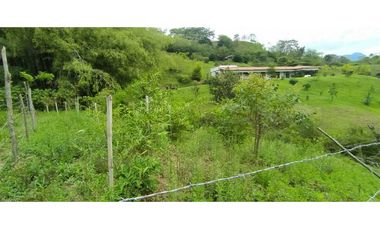 VENTA LOTE, SIRIA - SUROESTE  ANTIOQUEÑO