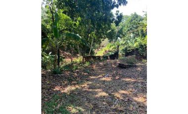 Venta de lote a partir de 2.000 mtrs2. Santa Marta Colombia